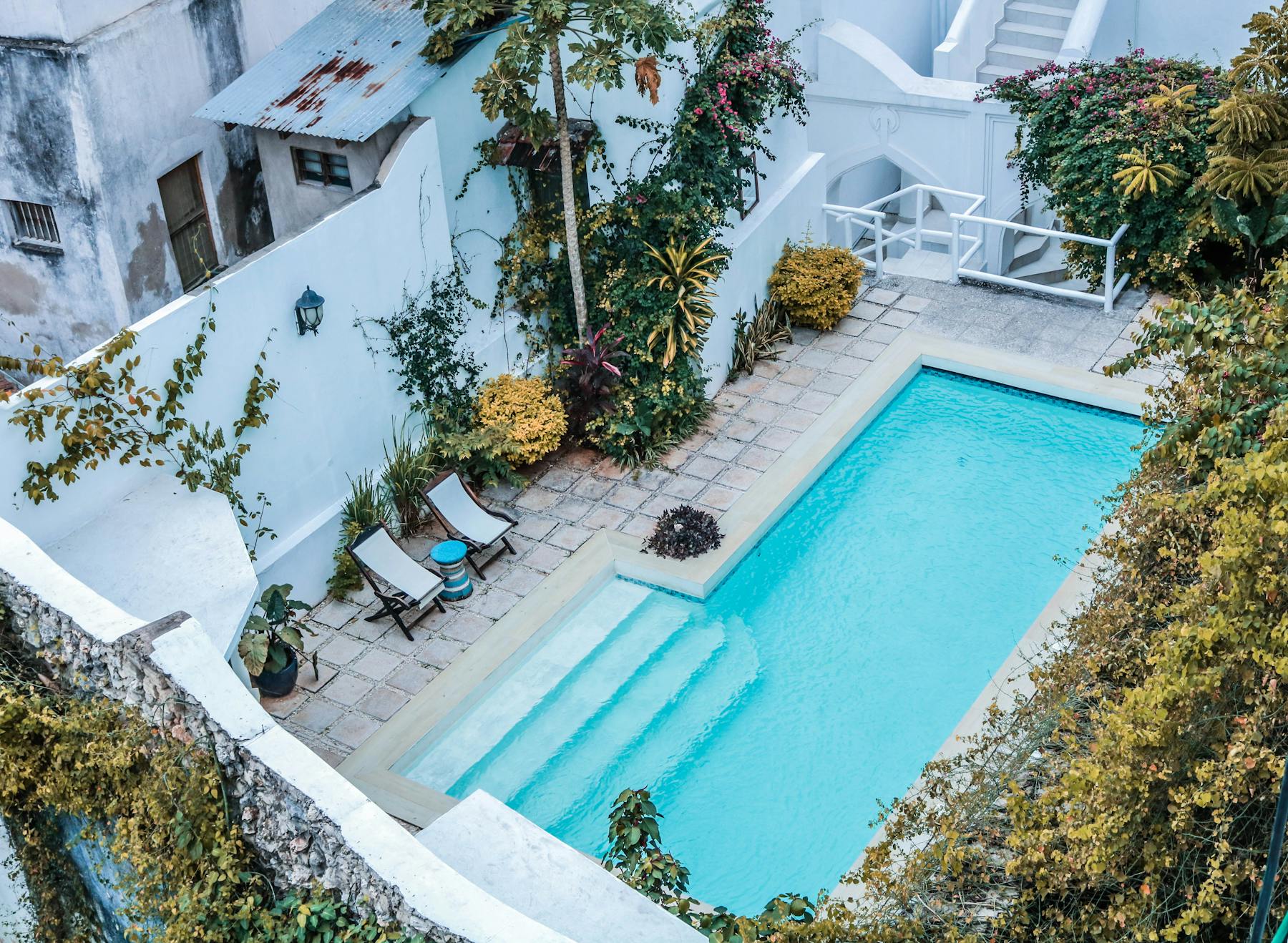 Piscine extérieure bordée de verdure